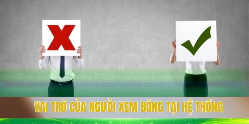 Vai trò của người xem bóng tại hệ thống